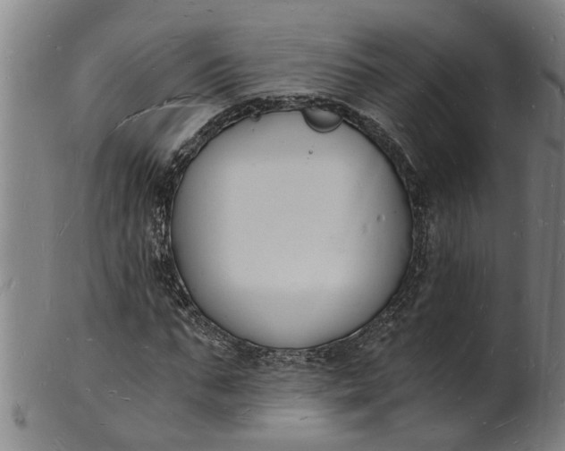 X0000101670871200807241438