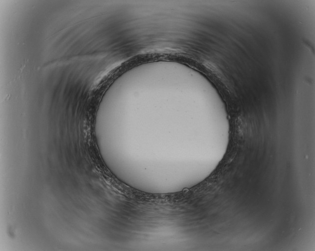 X0000101670872200807241438