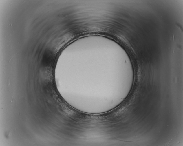 X0000101670873200807241438