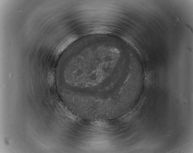 X0000101670874200807241438