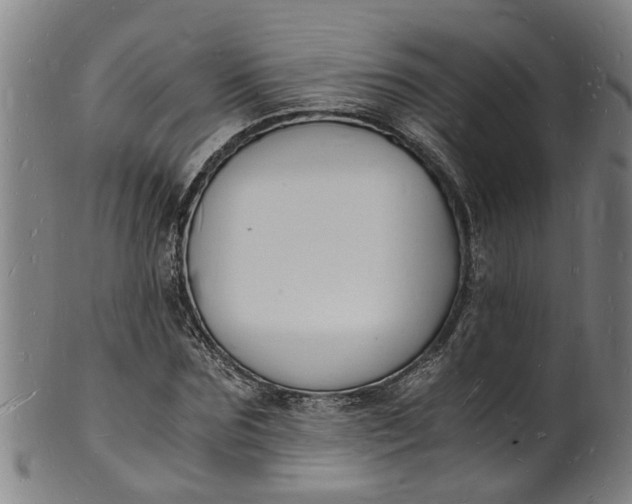 X0000101670875200807241438