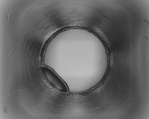 X0000101670876200807241438