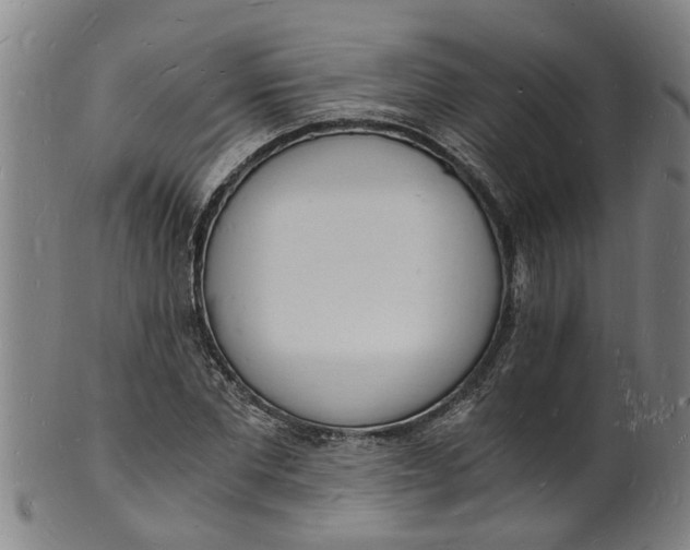 X0000101670877200807241438