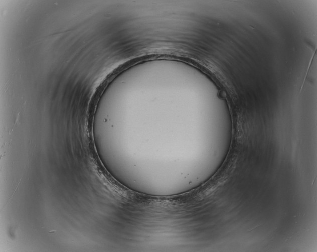 X0000101670880200807241438