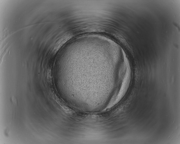 X0000101670881200807241438