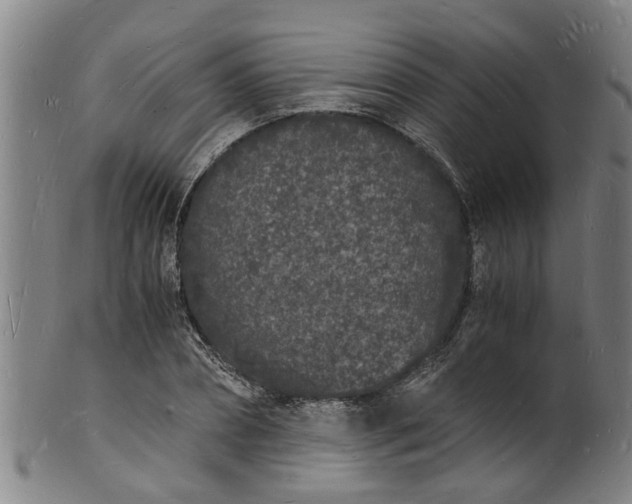 X0000101670882200807241438