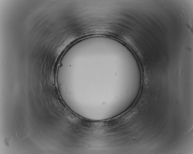 X0000101670883200807241438