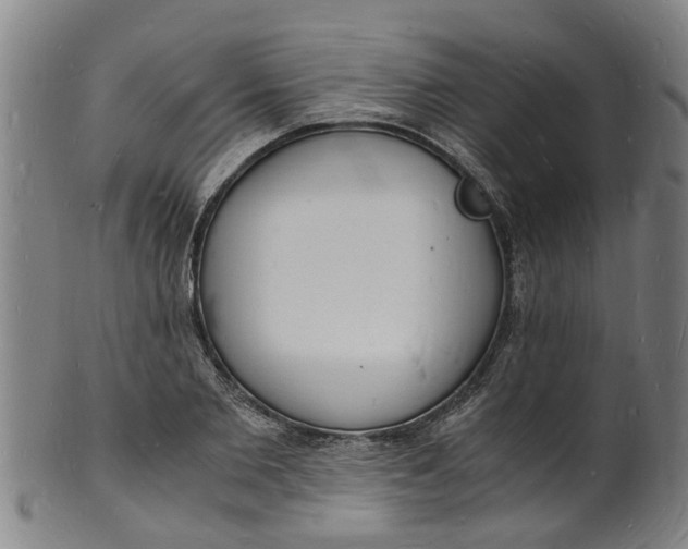 X0000101670885200807241438