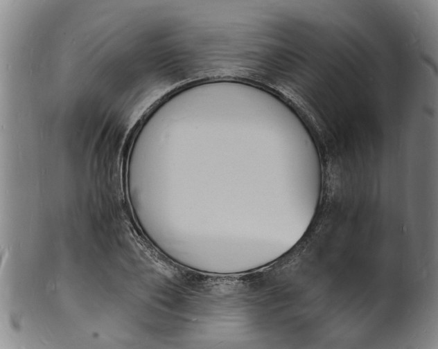 X0000101670886200807241438