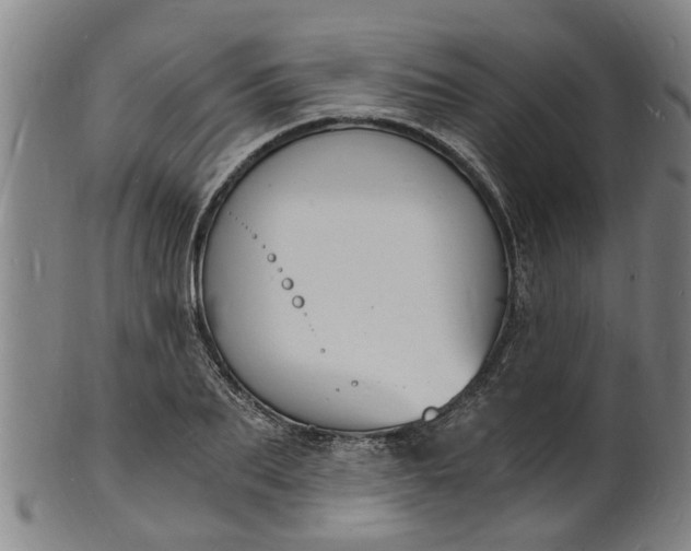 X0000101670887200807241438