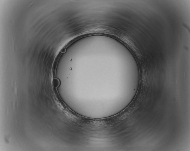 X0000101670888200807241438