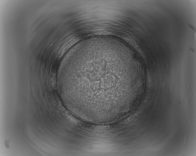 X0000101670889200807241438