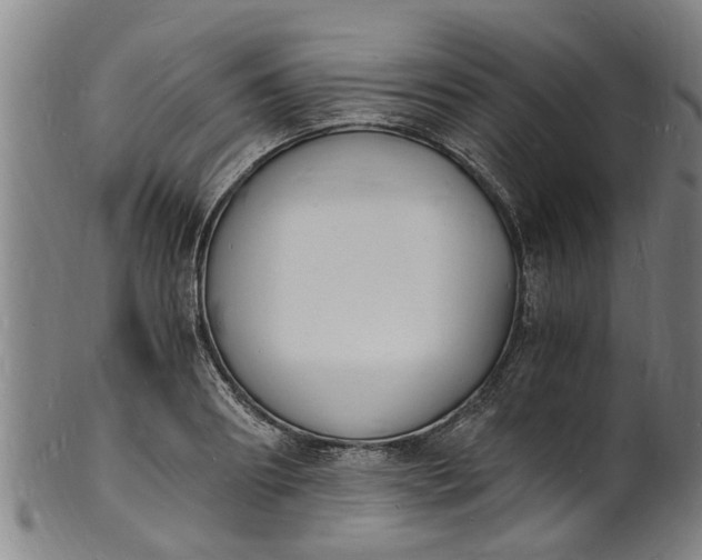 X0000101670890200807241438