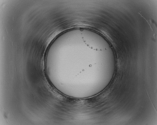 X0000101670891200807241438