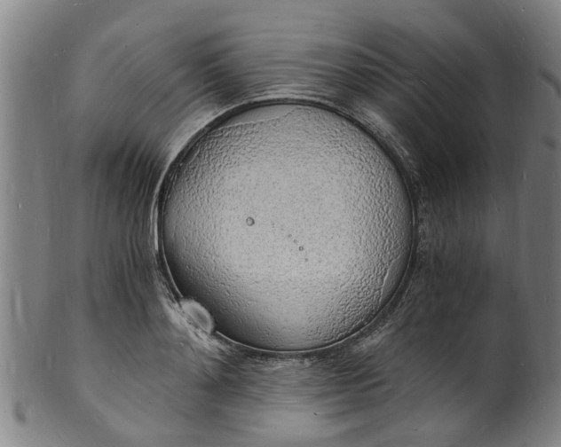 X0000101670892200807241438