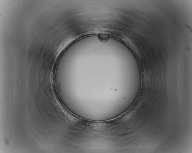 X0000101670893200807241438