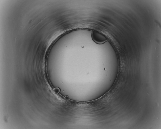 X0000101670894200807241438