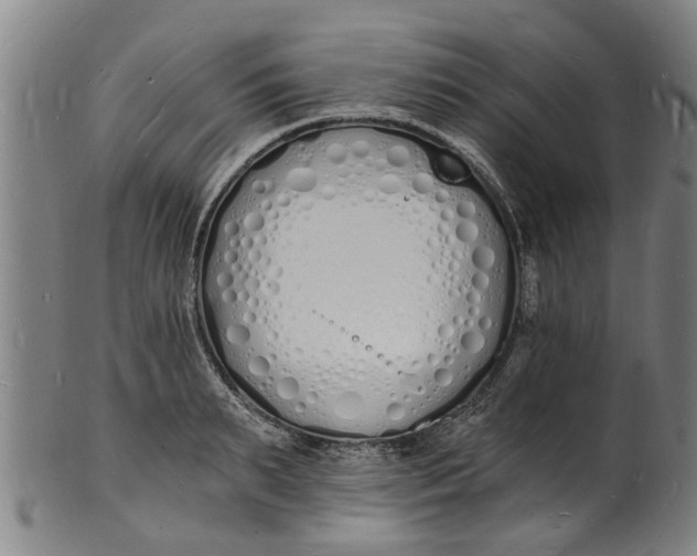 X0000101670895200807241438