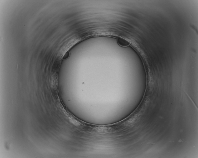 X0000101670897200807241438