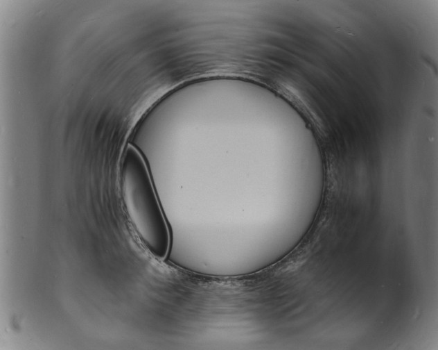 X0000101670900200807241438