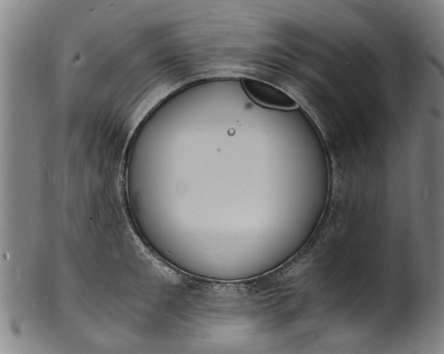 X0000101670901200807241438