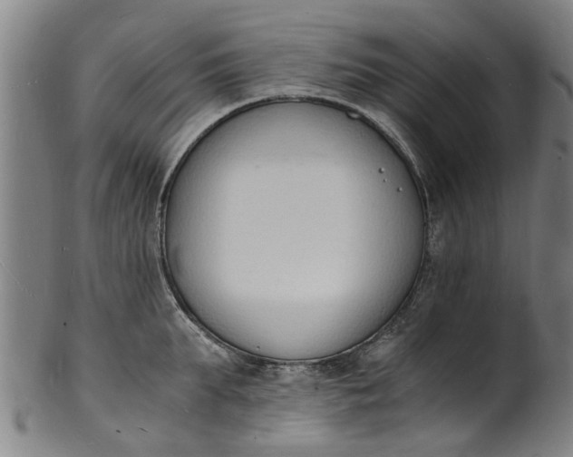 X0000101670903200807241438