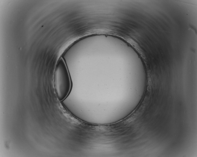 X0000101670904200807241438