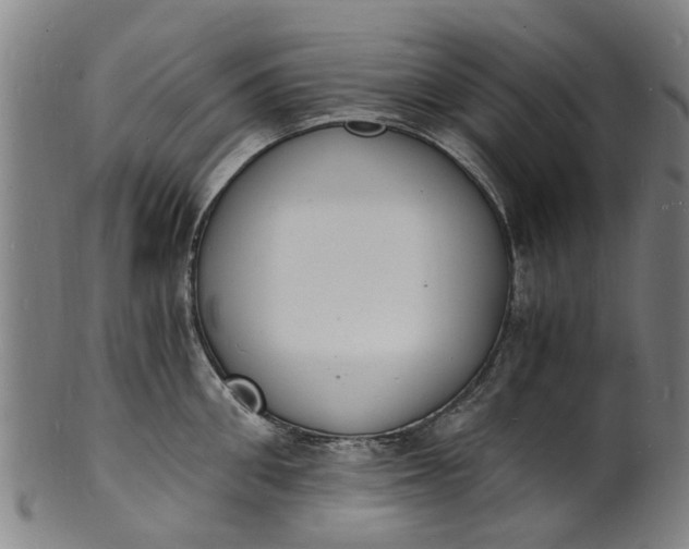 X0000101670906200807241438