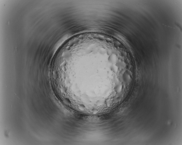 X0000101670907200807241438