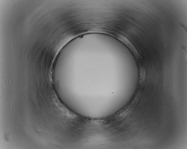 X0000101670908200807241438