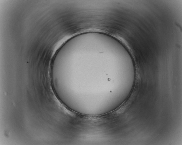 X0000101670910200807241437