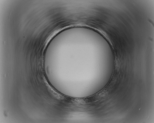 X0000101670911200807241437