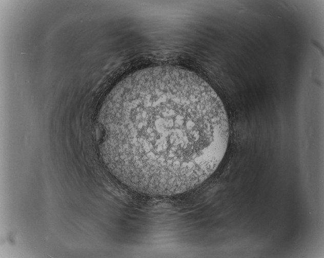 X0000101670913200807241437