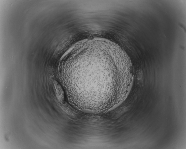 X0000101670916200807241437