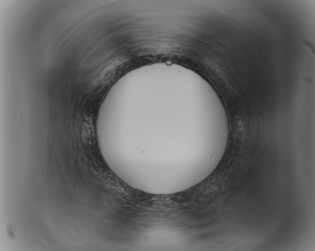 X0000101670918200807241437