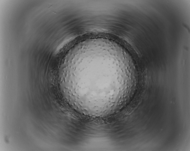 X0000101670919200807241437