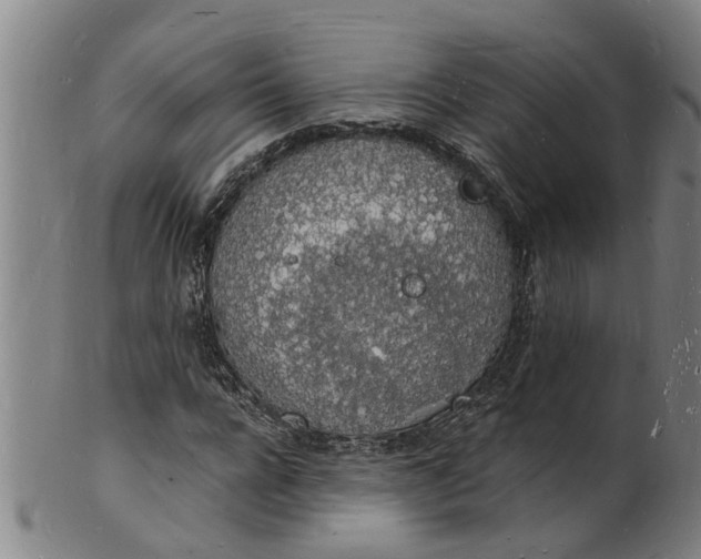 X0000101670920200807241437