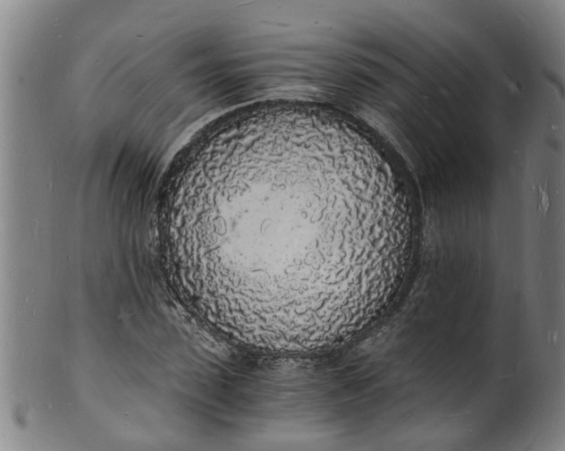 X0000101670923200807241437