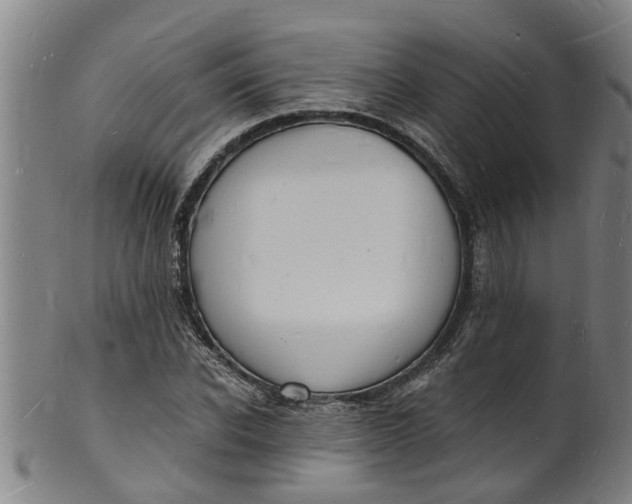 X0000101670926200807241437