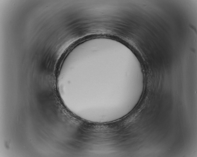 X0000101670927200807241437