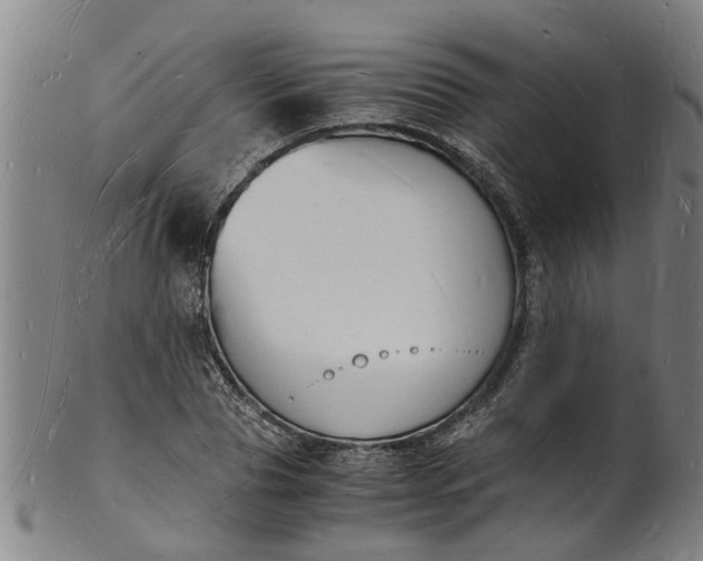 X0000101670929200807241437