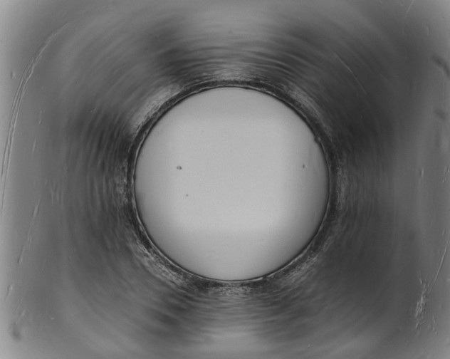 X0000101670930200807241437