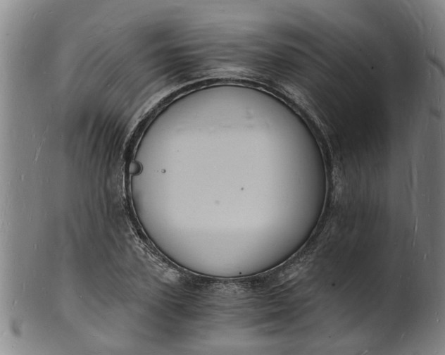 X0000101670931200807241437