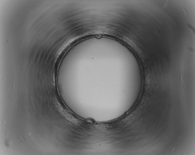 X0000101670934200807241437
