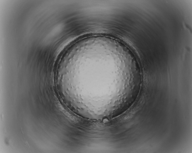 X0000101670935200807241437