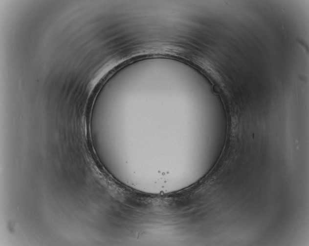 X0000101670936200807241437