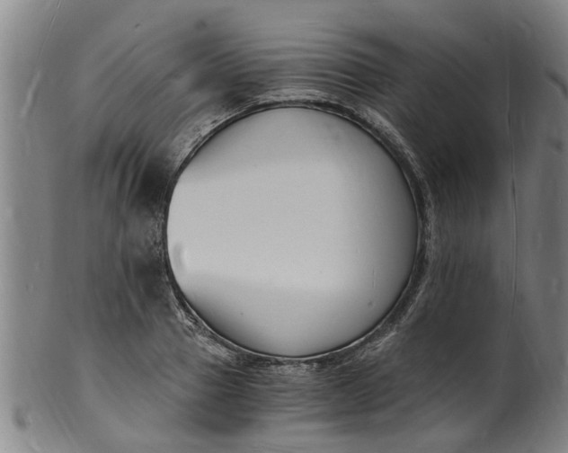 X0000101670937200807241437