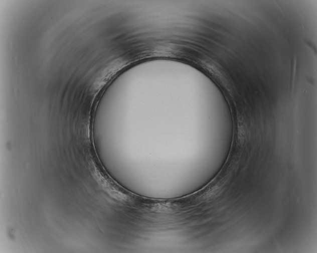 X0000101670938200807241437