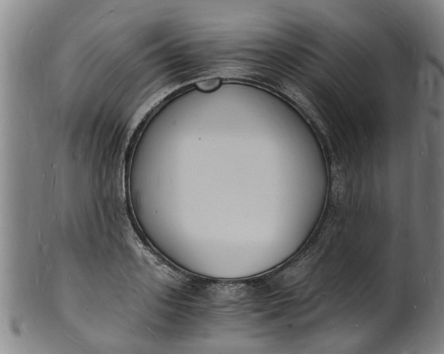 X0000101670939200807241437
