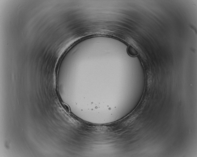 X0000101670940200807241437